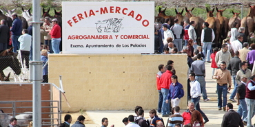 Feria Agro-Ganadera