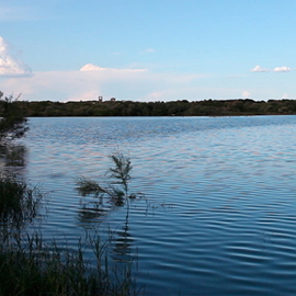 Laguna La Mejorada  "Lago de Diego Puerta"