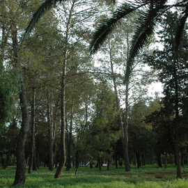 Parque Forestal de Maribáñez